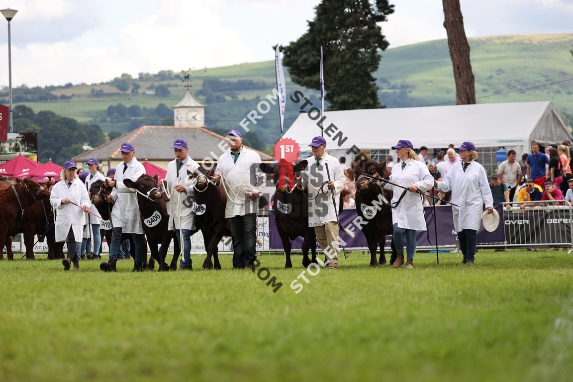 H73_3712 2024 - 1st Class Images