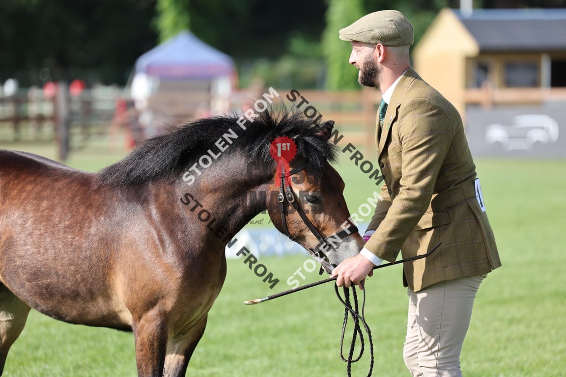 Z33_0050 2025 - 1st Class Images