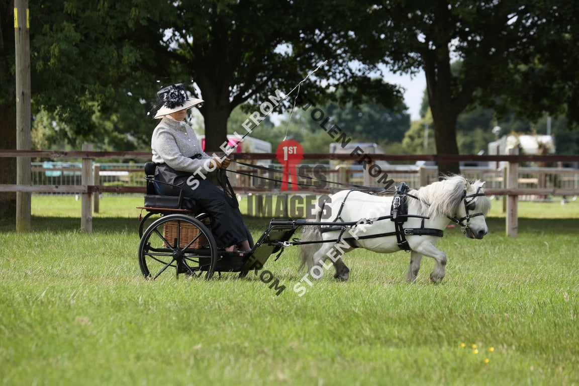 E48_0050 2025 - 1st Class Images