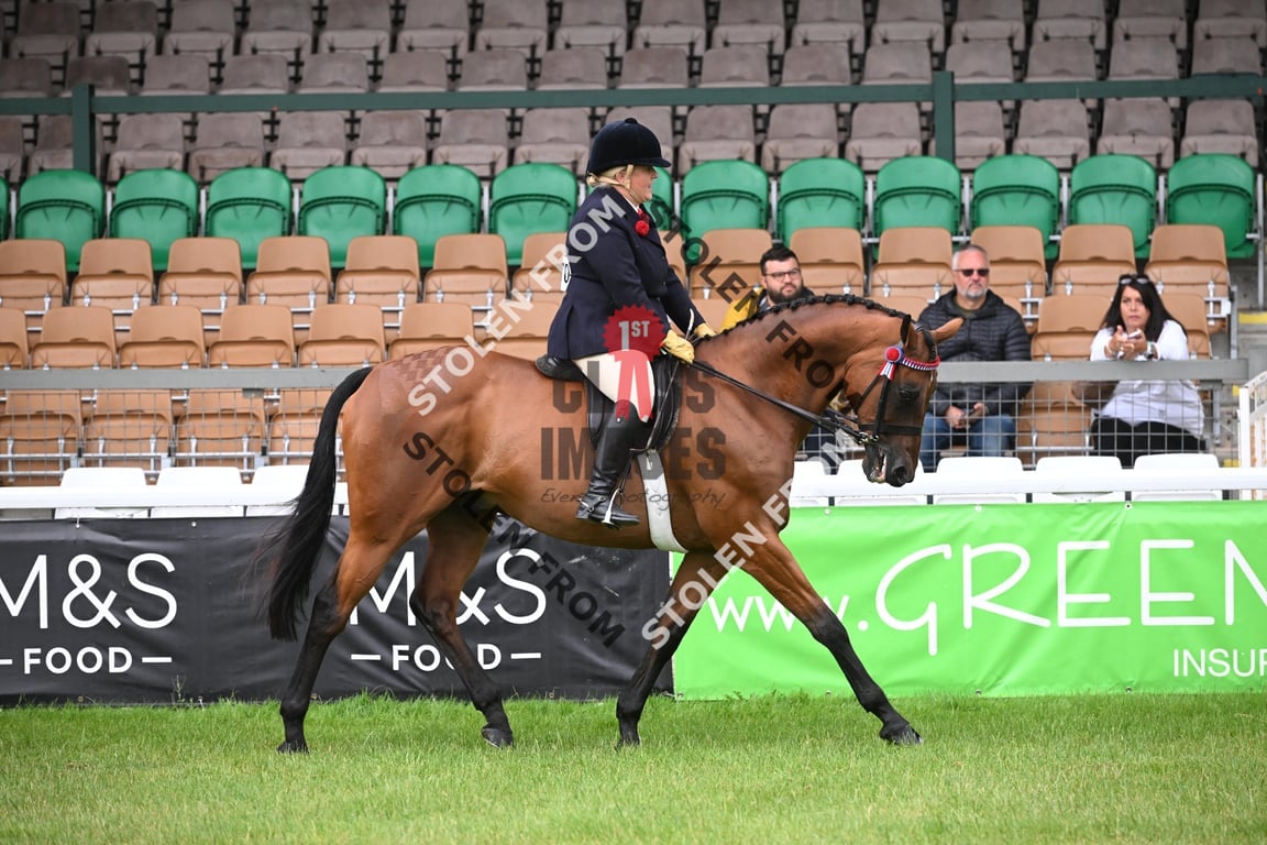 A77_0050 2025 - 1st Class Images